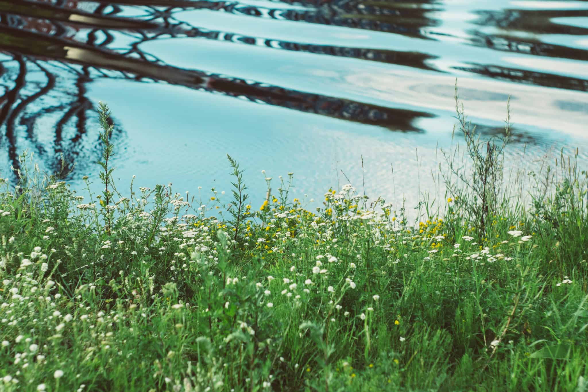 ramona-senfelde-nisCfZ5STmo-unsplash_.jpg